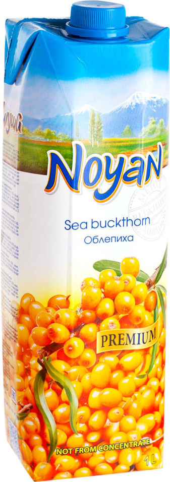 Нектар Noyan Облепиха 1л