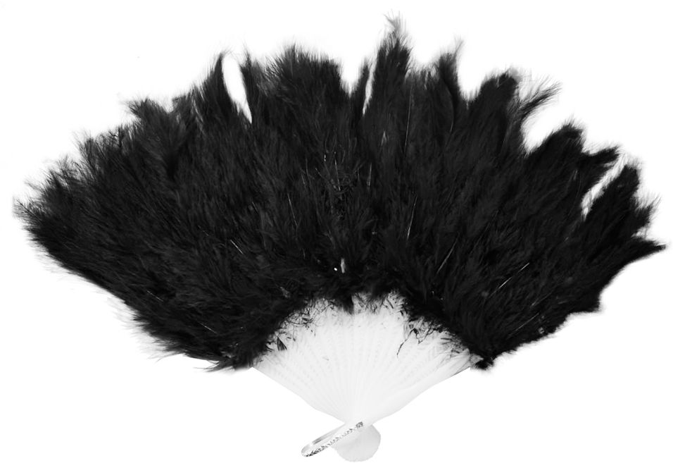 Веер карнавальный