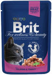 Корм для кошек Brit Premium Кусочки с лососем и форелью 100г Корм для кошек Brit Premium Кусочки с лососем и форелью 100г